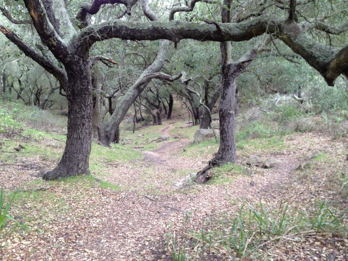 The Road Less Traveled